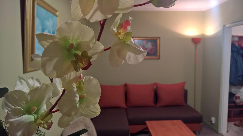 Apartament Konopnicka 奥古斯图 外观 照片